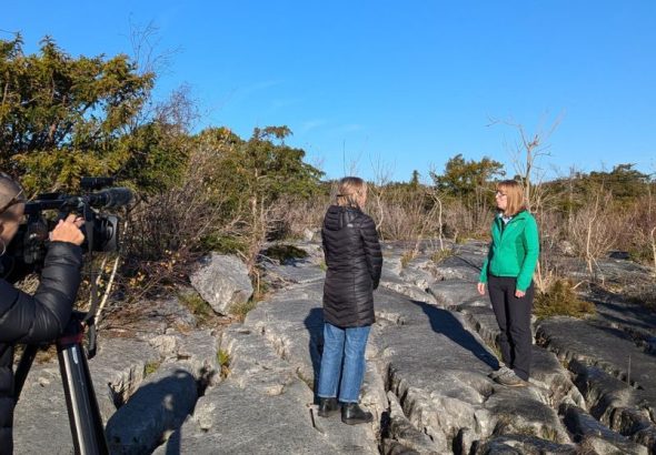 50 years of vegetation change in limestone pavements