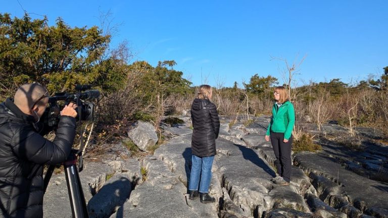 50 years of vegetation change in limestone pavements