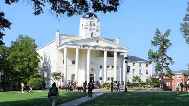 Several colleges lend a helping hand to Limestone University students